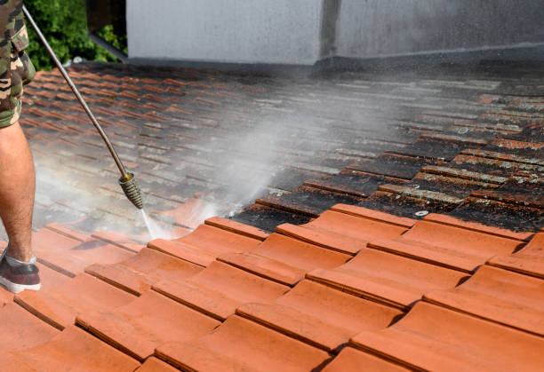 Pressure Washing Services for Businesses in Tularosa, NM